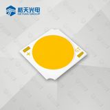 Spot Light Diode 19*19 15W 18W 25W LED COB Chip