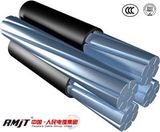 Aerial Bundled Cable Selling to Malaysia