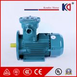Yb3 Aluminum Ultra-Efficient Flameproof Induction Motor