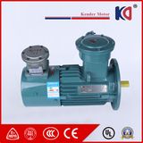 Yvbp Series Frequency Conversion Electric Motor with Speed Regulating
