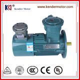 Frequency Conversion Three-Phase Explosion-Proof Induction Motor