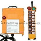 Customized Telecrane Industrial Wireless Remote Control F21-18d Crane Hoist Control, Two Speed