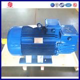 Light Weight 3 Phase 15HP Induction Motor