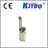 High Temperature Limit Switch Kjt-Xw2k with Factory Price