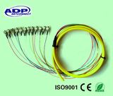 12 Cores Fiber Pigtail Fiber Optic Patch Cord Cable (SM, FC/UPC)