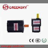 60W Micro DC Square Type Gear BLDC Motor