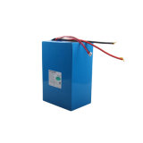 Deep Cycle Battery Lithium Ion Batteries 12.8V80ah Battery Pack for E-Car