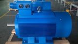 Y2-160L-2 18.5kw 25HP 2940rpm Y2 Series Three Phase Asynchronous Motor