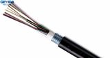 Outdoor 48 Core Om3 Non-Metallic Strength Member Fiber Optic Cable