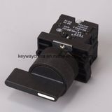 Long Handle Push Button Switch with Keyway Brand