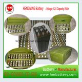 1.2V 22ah Ni-CD Alkaline Battery for UPS, Railway, Substation (24V22Ah)