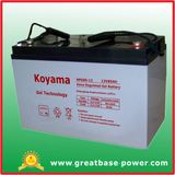 Good Quality Hybrid Wind Power System Battery 12V 85ah