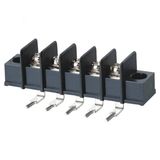 Wanjie PCB Barrier Terminal Block (WJ25RM-7.62mm)