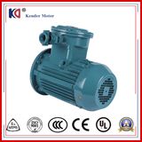 Ex-Proof Motor Yb3 Series 0.37kw 2p