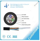 Duct Use Antirodents Single Model GYFTY Fiber Optic Cable with 72 Core