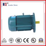 Yx3-132s-6 Yx3 380V 3kw Electrical AC Asynchronous Induction Motor