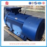11kv High Tension Squirrel Cage Asynchronous Motor