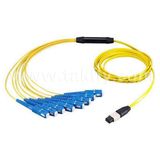 MTP/MPO Fiber Trunk/Fanout/Breakout Cable/Patch Cord/Patch Cable