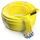 FTTH Indoor Multicore Distribution Loose Tube LSZH Fiber Optic Pigtail