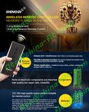 Best Design Remote Control Switch with Multifunction FC-3