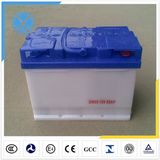 OEM Brand Auto Car Battery for Starting