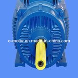 IEC Y2 Three Phase Cast Iron Case Asynchrous Electric Motor