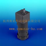 60W Ouput Shaft 15mm AC Gear Motor with Speed Controller