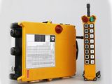 Best Selling Telecrane Wireless Remote Control Relay Switch F21-16D