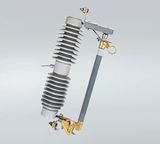 Leading Polymer Housed Fuse Cutout