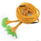 Break out Sc Fiber Optic Pigtail