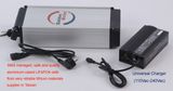 LiFePO4 Lithium Battery 36V12ah