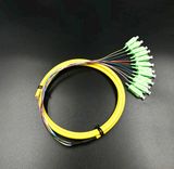 Optical Fiber 12 Cores Bound Pigtail for Network transmission and Wireless CCTV