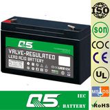 6V10.0AH Rechargeable Battery, for Emergency Light, Outdoor lighting,solar garden lamp,solar lantern,solar camping lights,solar torchlight, solar fan, bulb.
