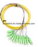Optical Fiber 12 Cores Bound Pigtail for Fiber Optic Data Transmission/Network