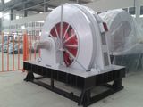 6kv 10kv High Voltage Big Synchronous Motor