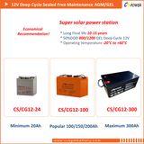 12V 100ah AGM Battery / SLA Battery / UPS Battery CS12-100d