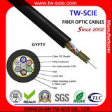 2 Core, 4core, 12core, 24 Core Single Mode Stranded Loose Tube Non-Metallic Strength Member Non-Armored Fiber Optic Cable GYFTY