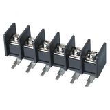 Wanjie PCB Barrier Terminal Block (WJ65R-11.0mm)