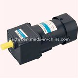 220V AC Reversible 120W 90mm Mini Gear Motor for Sale