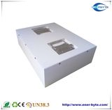 Lithium Ion Batteries with Integrated Battery Management System