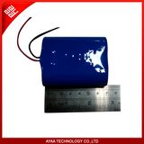 Rechargeable 6.4V 1.4ah LiFePO4 Battery Pack for Ayaa-2s1p-014