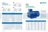 Y2 180m-2 Series Three Phase High Efficiency Induction AC Motor