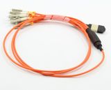 MPO Fiber Optic Cable Patch Cord