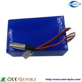LiFePO4 Battery Pack 36V 60ah
