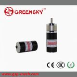 GS 3/5W 29mm Planetary Brushless DC Motor with High Quality