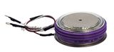 Russian Type Standard Recovery Diode (Capsule Type)
