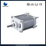 Factory Brushed DC 36V DC Motor