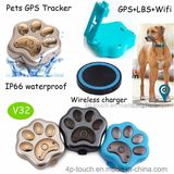 Waterproof IP66 GPS Pet Tracker with LED Light (V32)