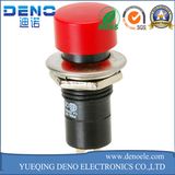 Momentary N. O. Classic Large Push Button Switch