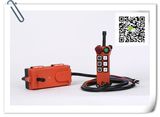 F21-E1 Chinese Manufacturer Crane Remote Control Unit